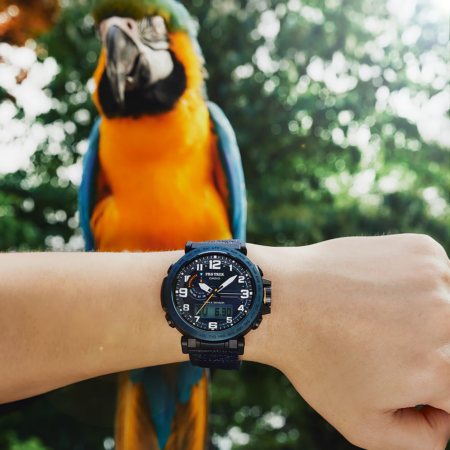 Casio watch:PRG-600 Series PRG-601YB-2