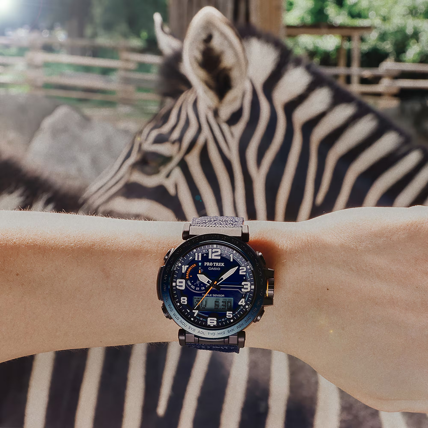 Casio watch:PRG-600 Series PRG-601YB-2