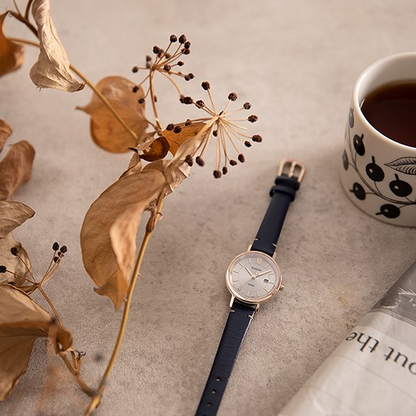 Casio watch:SunMoonStars SHS-D300CGL-7BPR